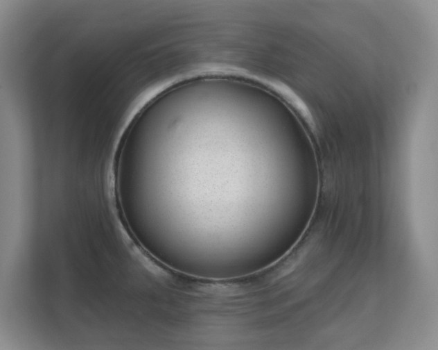 X0000112391287200908201535