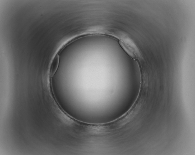 X0000112391288200908201535