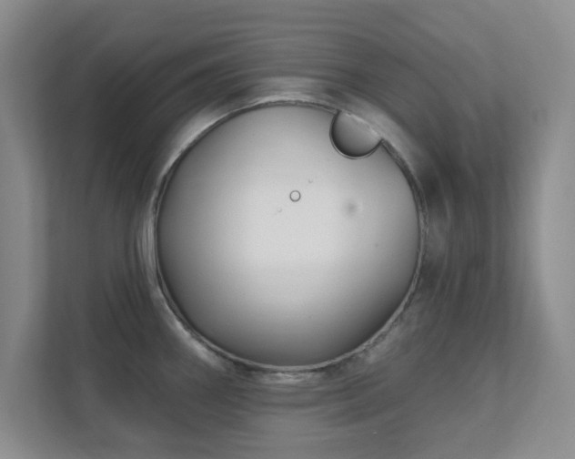 X0000112391290200908201535