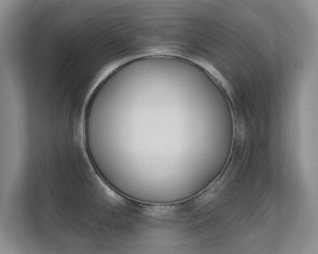 X0000112391294200908201535