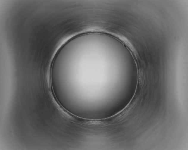 X0000112391295200908201535