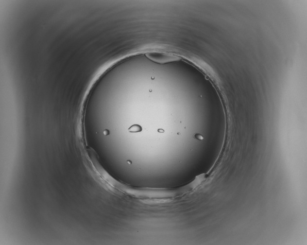 X0000112391296200908201535