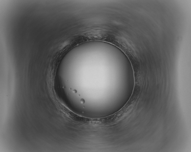 X0000112391297200908201534