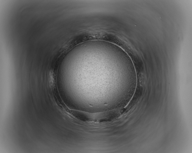 X0000112391298200908201534