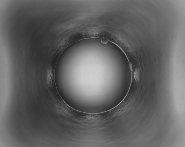 X0000112391299200908201534