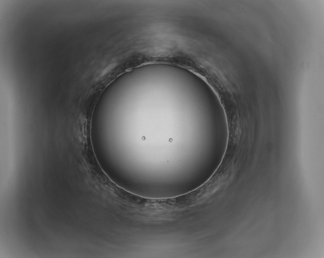 X0000112391301200908201534