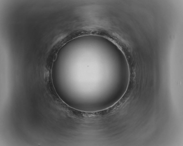 X0000112391302200908201534