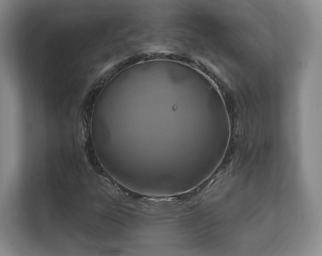 X0000112391303200908201534