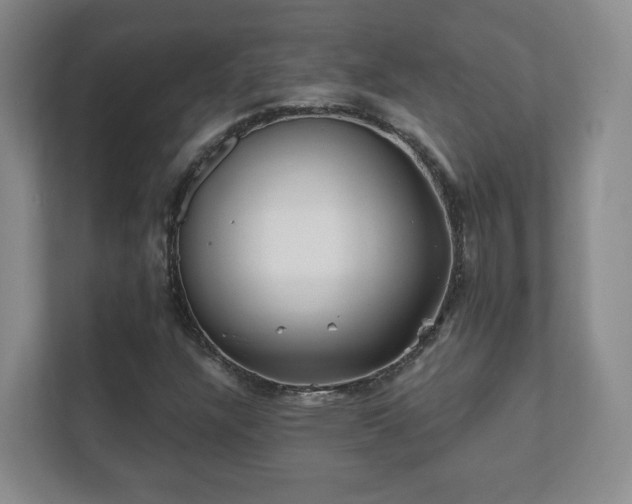 X0000112391304200908201534