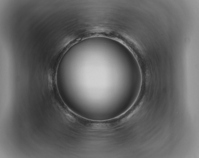 X0000112391305200908201534