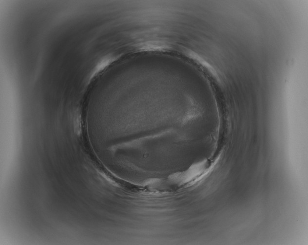 X0000112391306200908201534