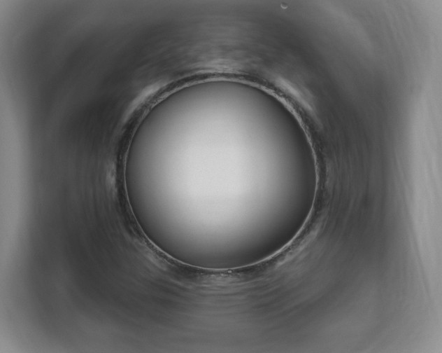 X0000112391307200908201534