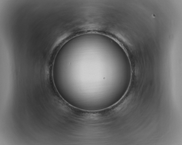 X0000112391309200908201534