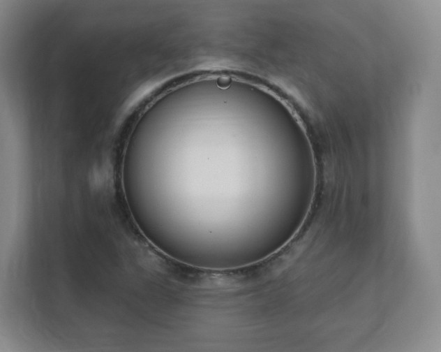 X0000112391311200908201534