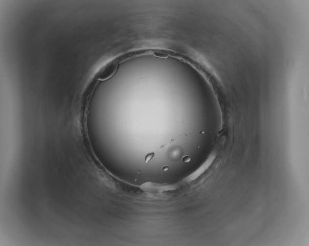 X0000112391312200908201534