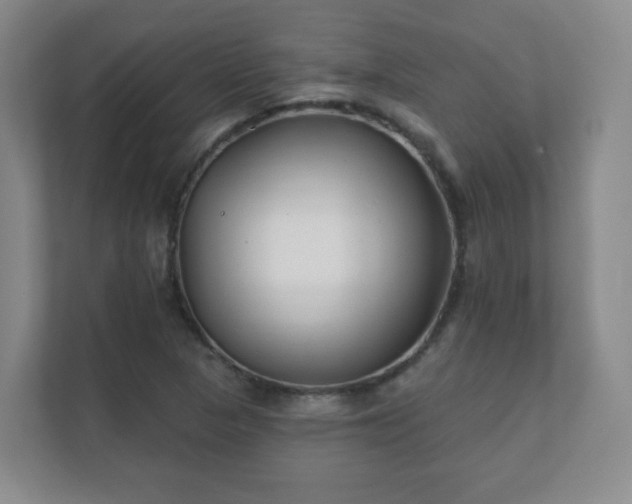 X0000112391313200908201534