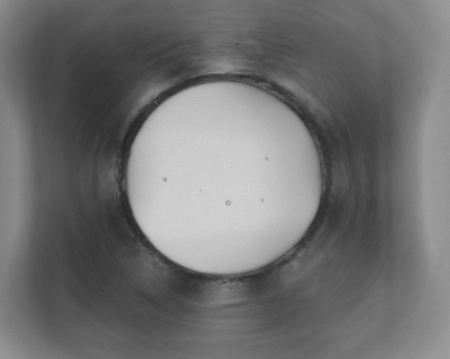 X0000112391314200908201534