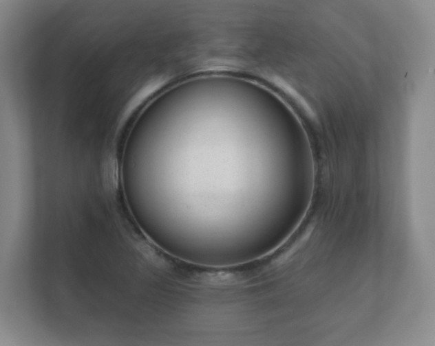 X0000112391317200908201534