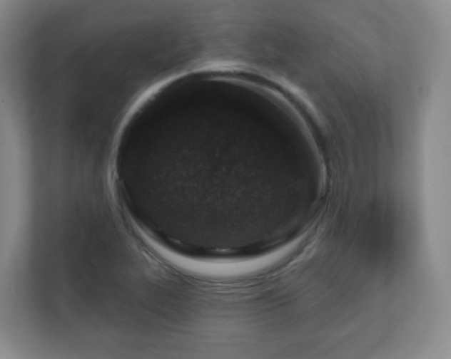 X0000112391319200908201534