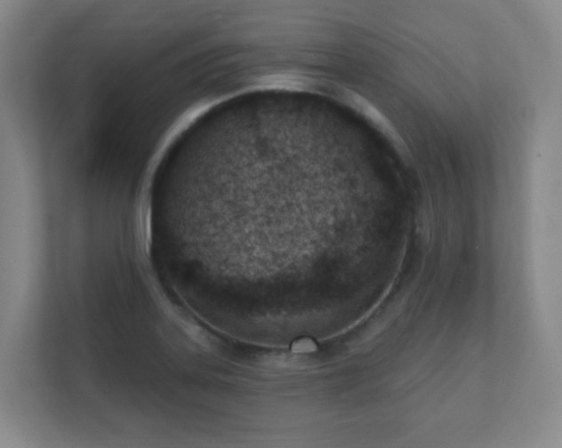 X0000112391323200908201534