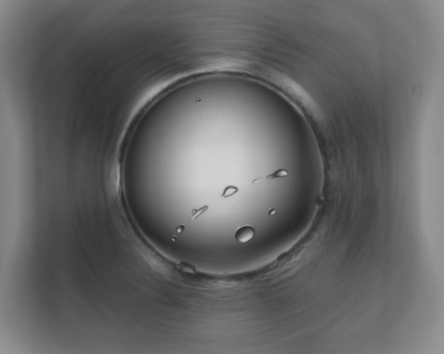 X0000112391324200908201534