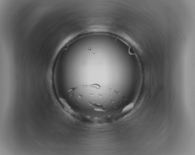 X0000112391325200908201534