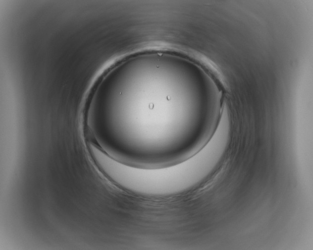 X0000112391326200908201534