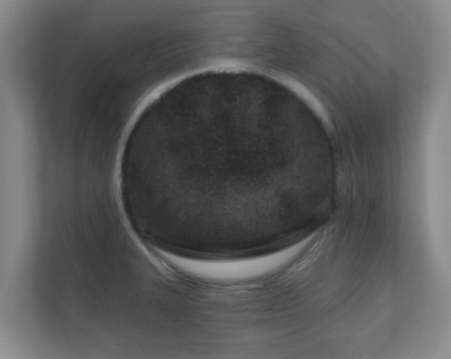 X0000112391327200908201534