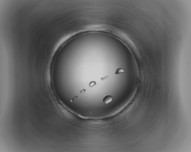 X0000112391328200908201534