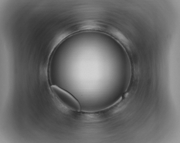 X0000112391330200908201534