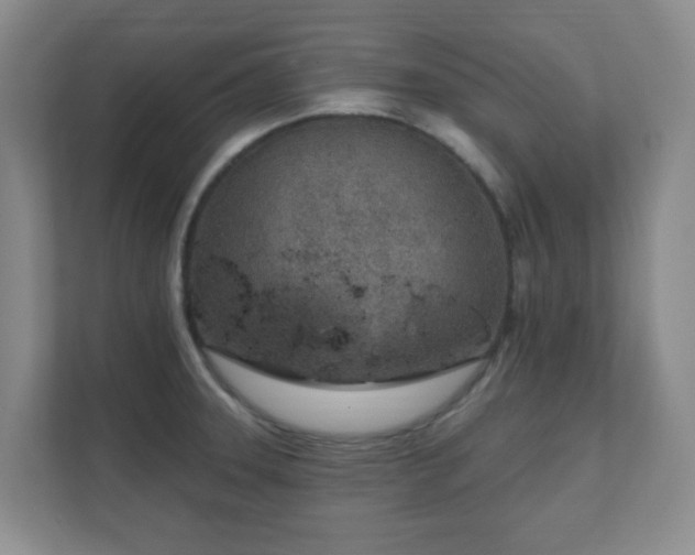 X0000112391331200908201534