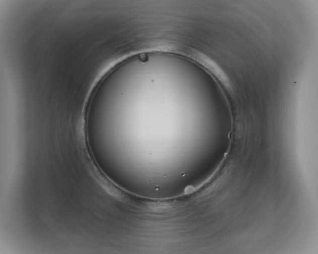 X0000112391332200908201534