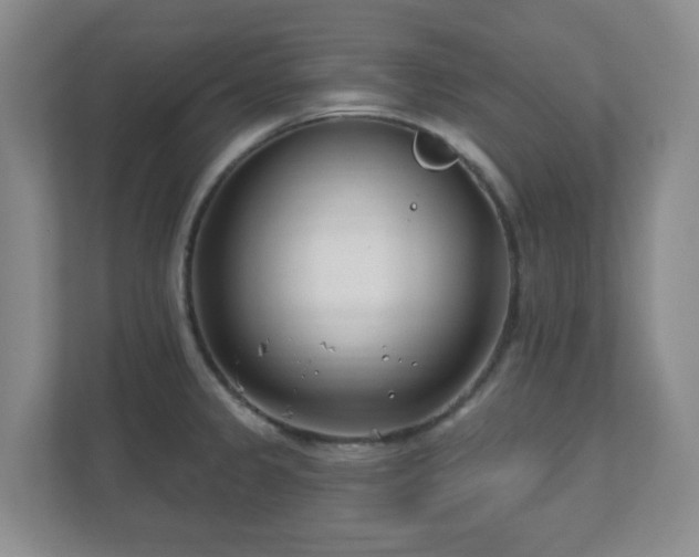 X0000112391333200908201534