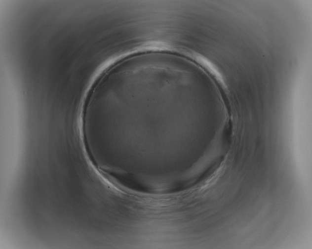 X0000112391334200908201534