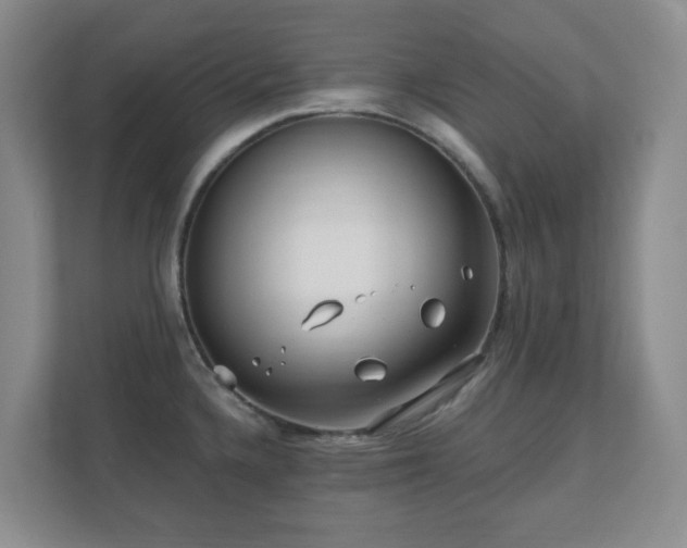 X0000112391336200908201534