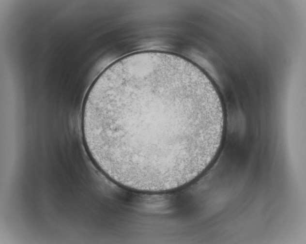 X0000112391338200908201534