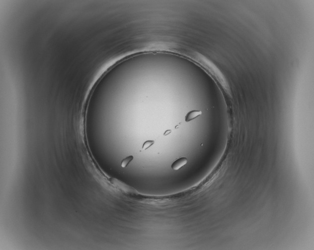 X0000112391340200908201534