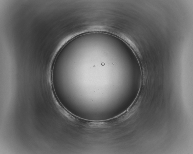 X0000112391342200908201534