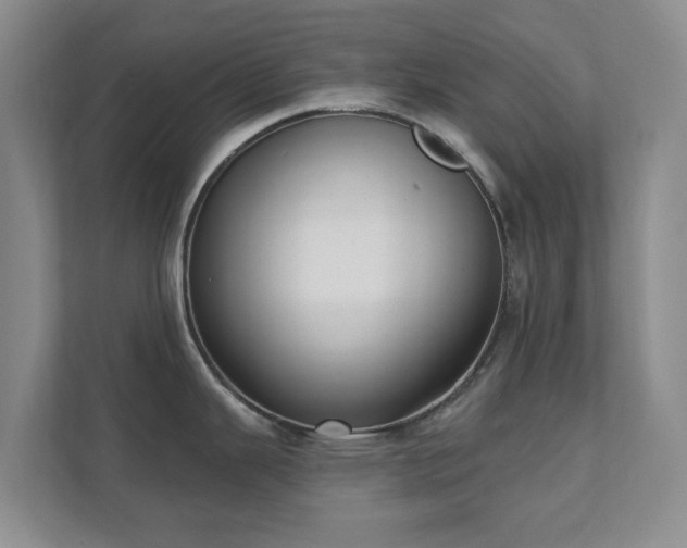 X0000112391343200908201535