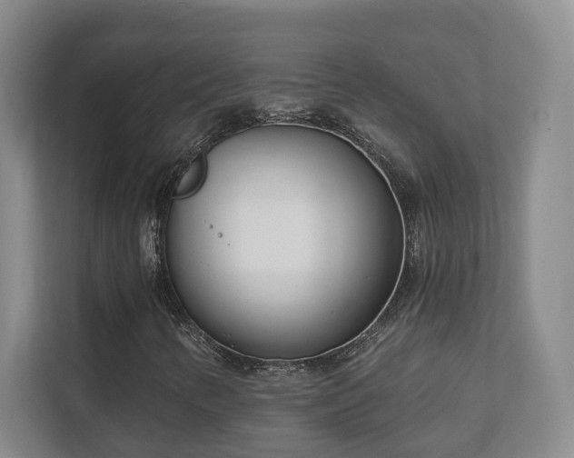 X0000112391346200908201534