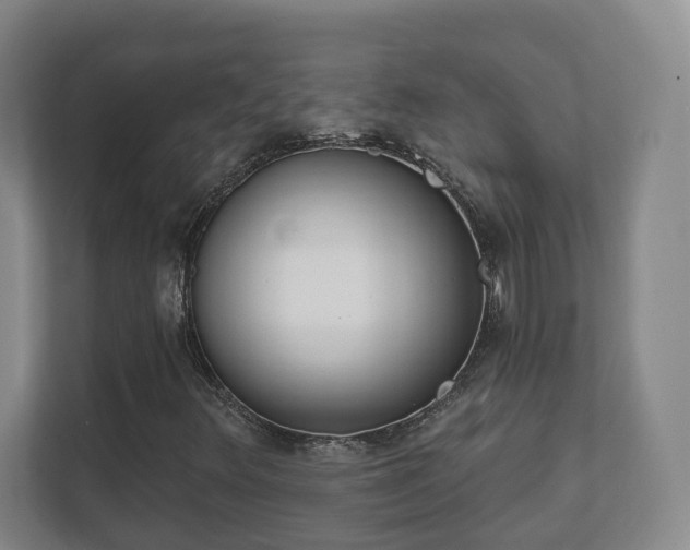 X0000112391348200908201534