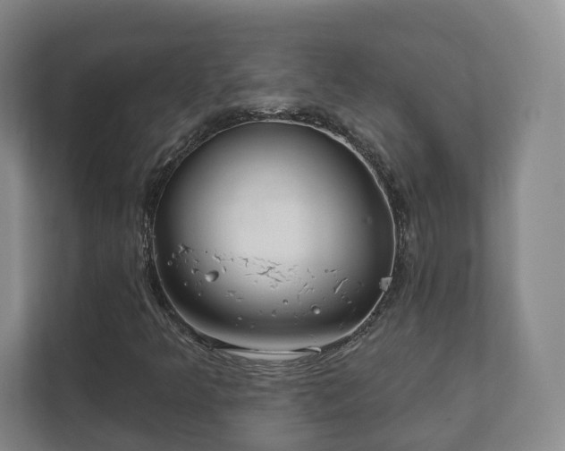 X0000112391349200908201534