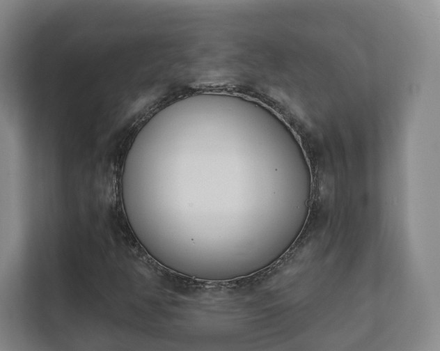 X0000112391350200908201534