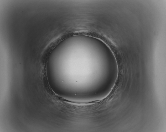 X0000112391351200908201534