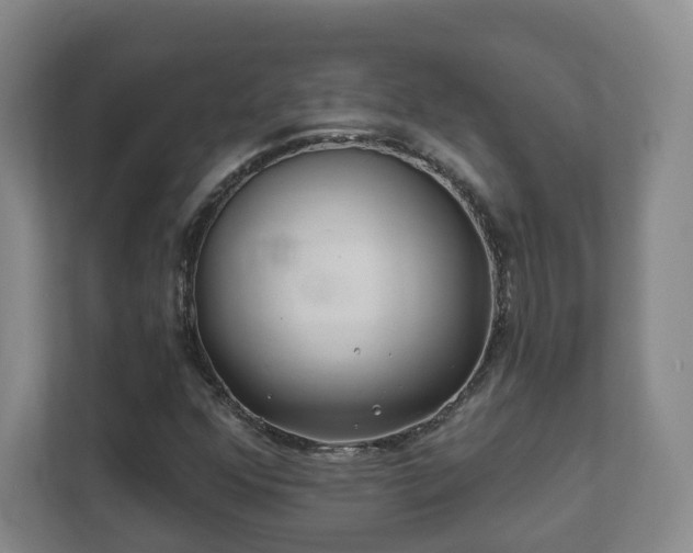 X0000112391352200908201534