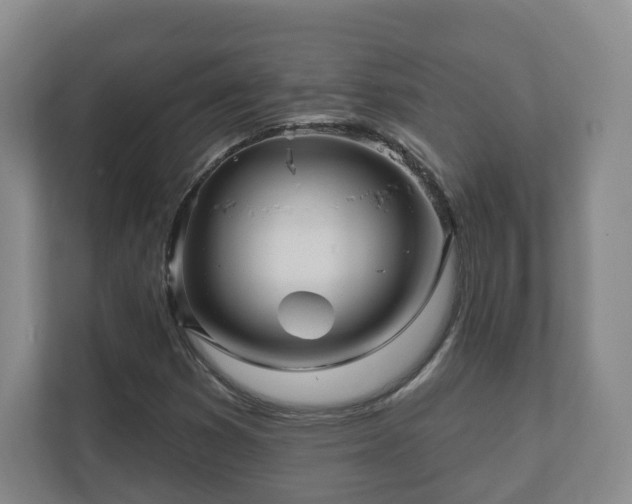 X0000112391353200908201534