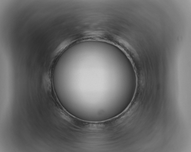 X0000112391354200908201534