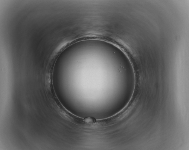 X0000112391355200908201534