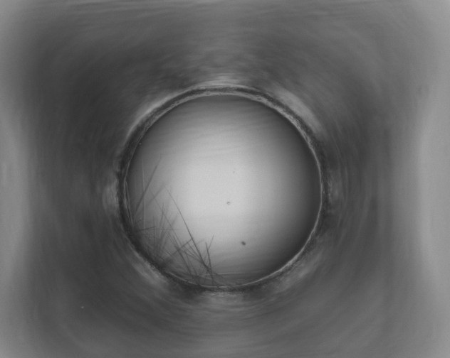 X0000112391356200908201534