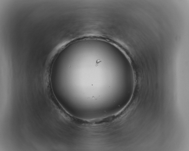 X0000112391359200908201534